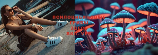 герыч Алексин