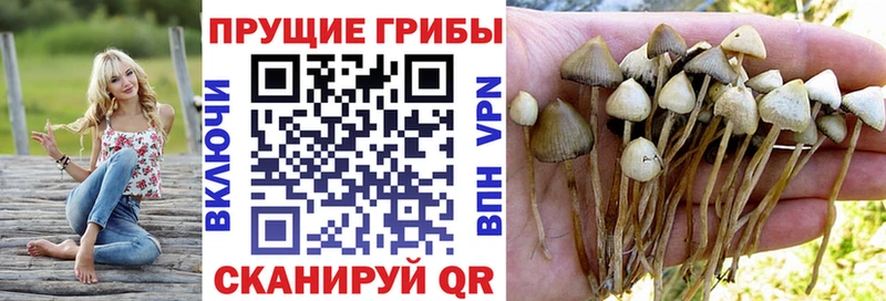 shop формула  Полысаево  Псилоцибиновые грибы мухоморы  гидра маркетплейс 